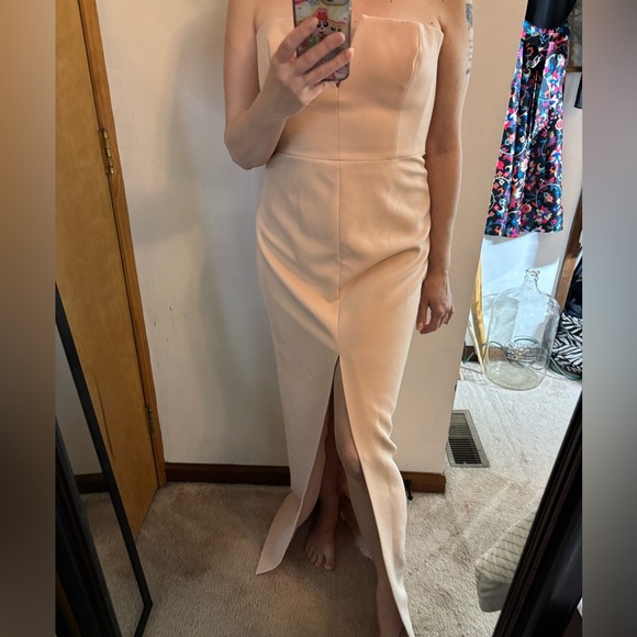 BCBGMaxAzria Blush Neutral Strapless Straight Maxi Formal Gown - Picture 9 of 13